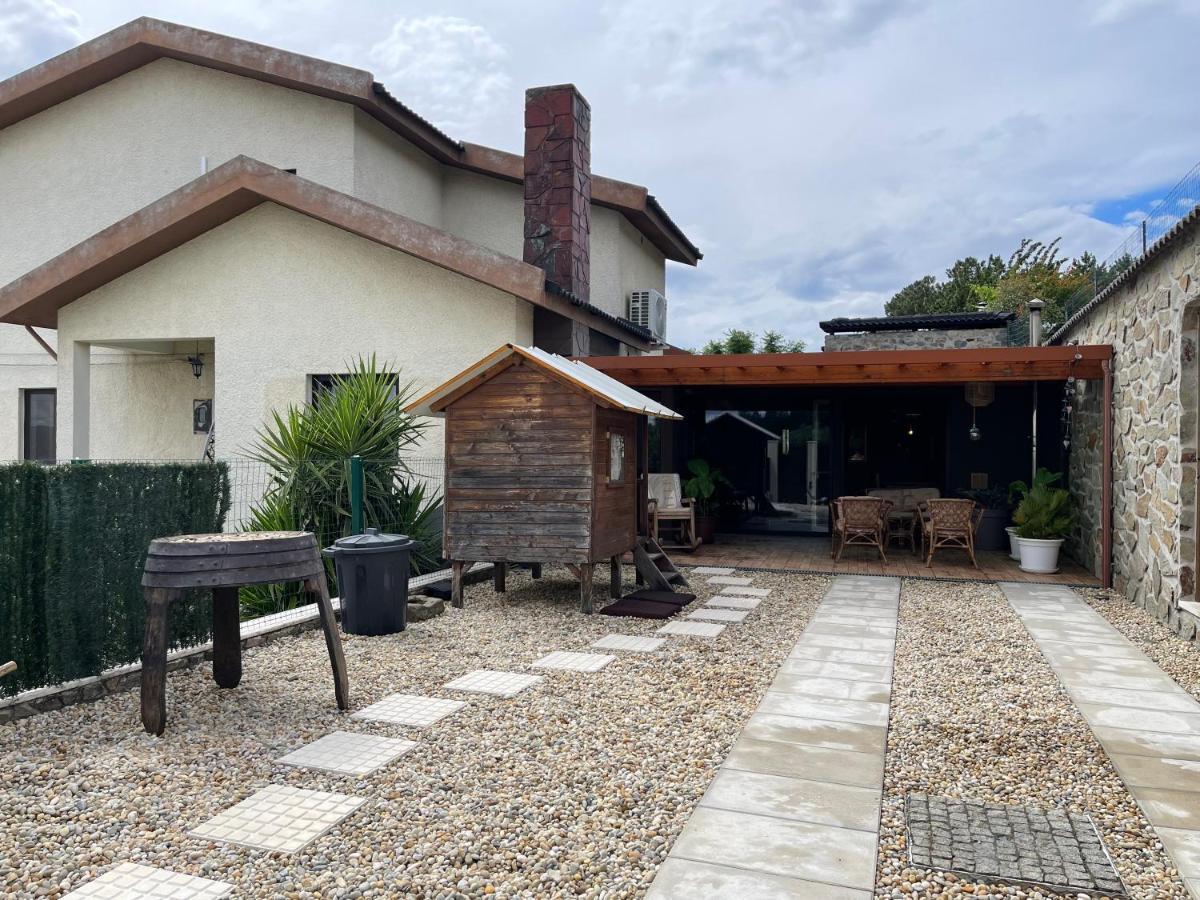 La Cigarrita Guest House - Douro Valley Peso da Régua Extérieur photo