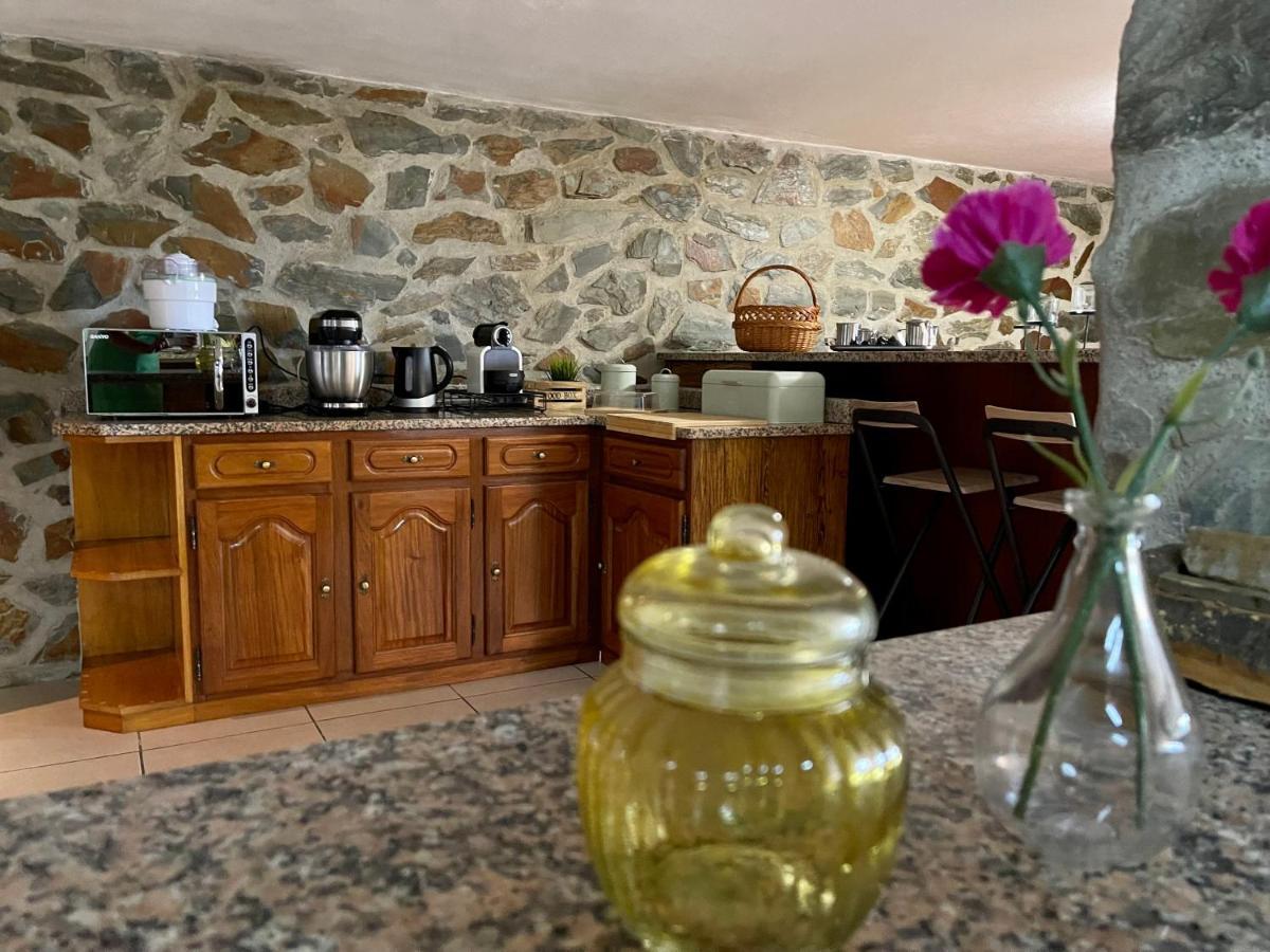 La Cigarrita Guest House - Douro Valley Peso da Régua Extérieur photo