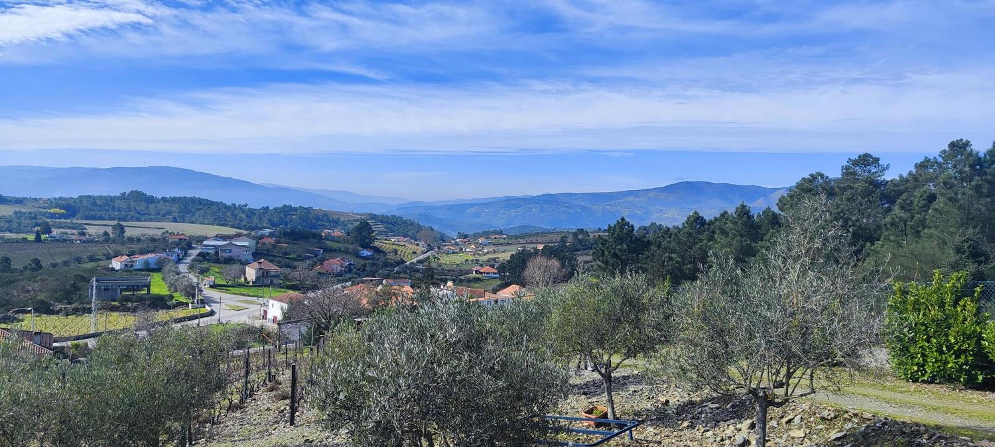 La Cigarrita Guest House - Douro Valley Peso da Régua Extérieur photo
